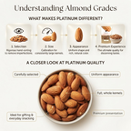 California Almonds Platinum - Sanora Badam