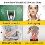 A2 Gir Cow Bilona Ghee